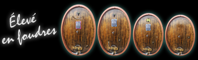 Champagne Arfaux à Chenay - élevé en foudres